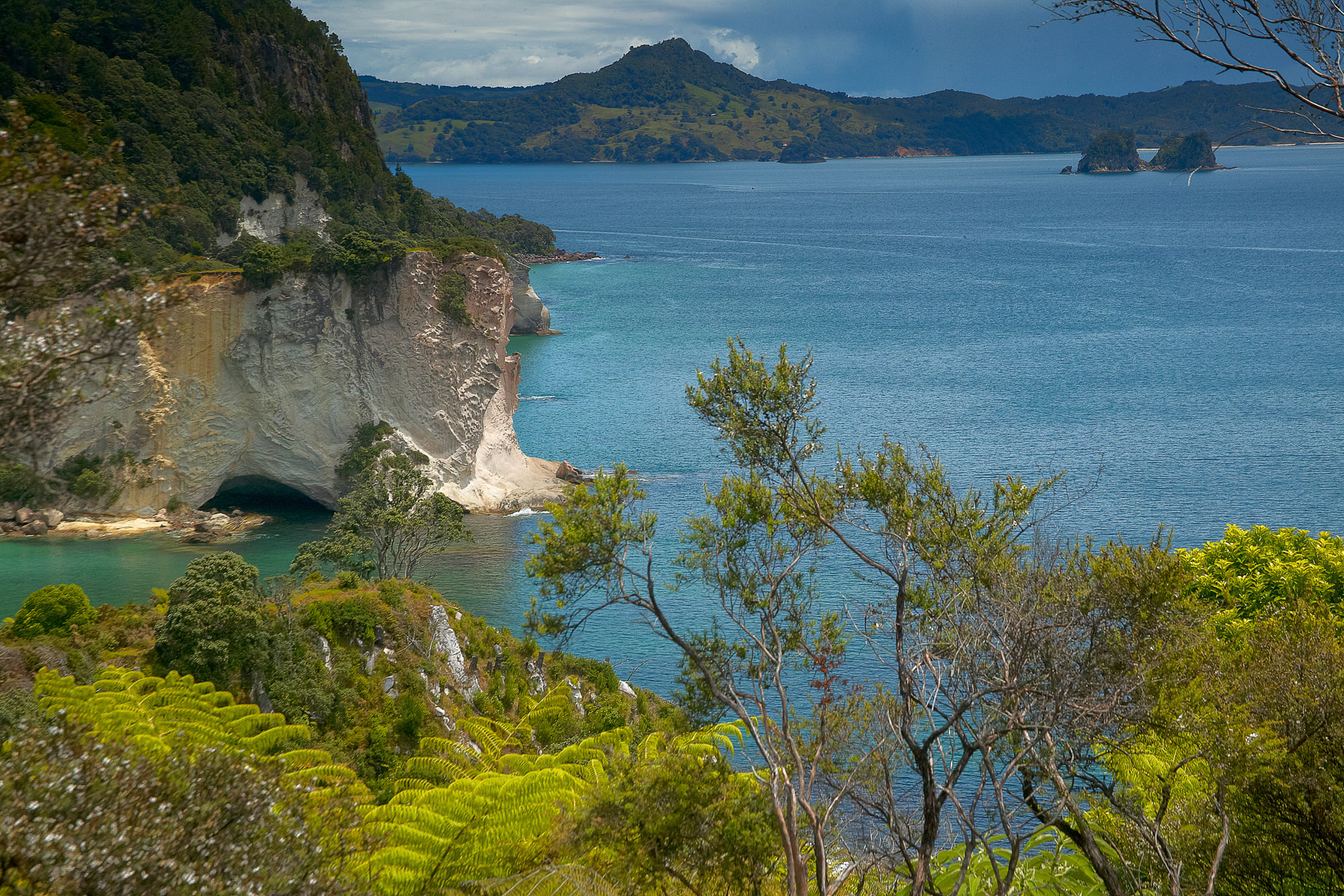 Coromandel Peninsula